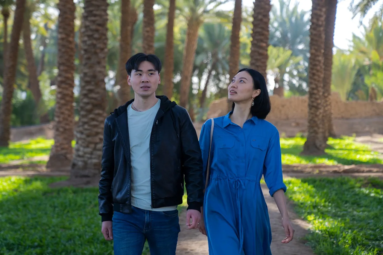 Towering date palms in the AlUla oasis, creating a green corridor through the desert valley